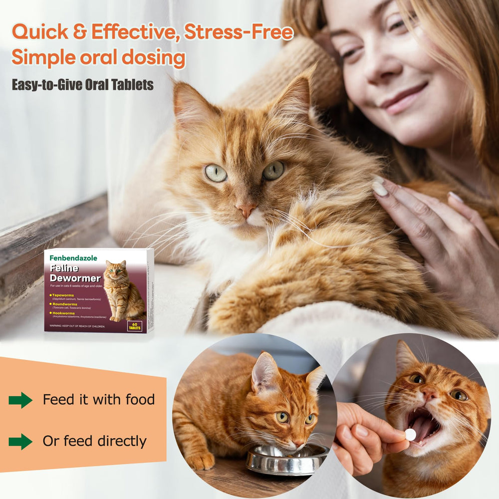Alltripal Apto para Gatos Recien Desarrollados y Adultos: uso versátil en hogares