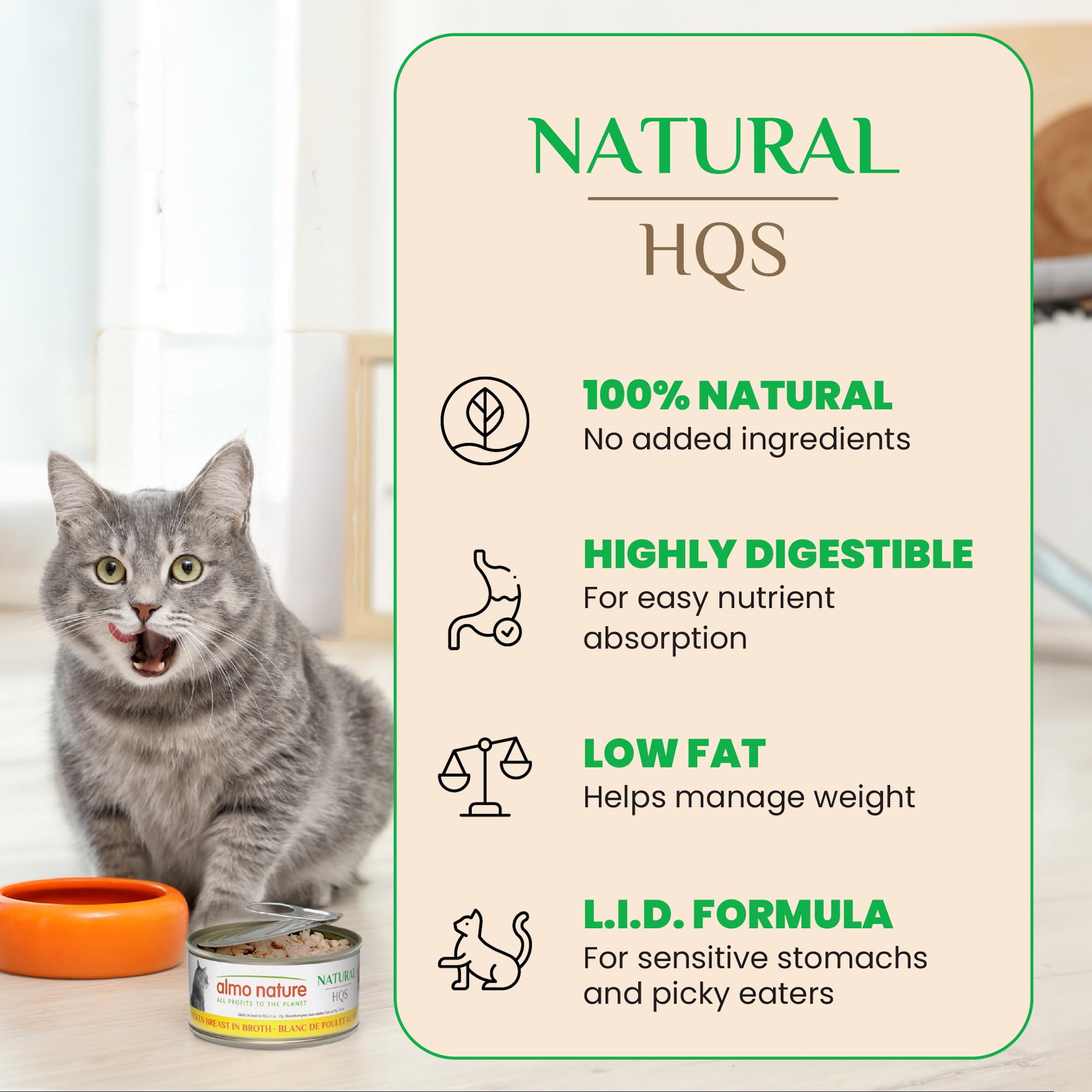 Almo Nature HQS: gato disfrutando de comida húmeda, sabor que conquista a comedores exigentes.