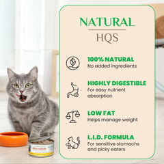 Almo Nature HQS: gato disfrutando de comida húmeda, sabor que conquista a comedores exigentes.