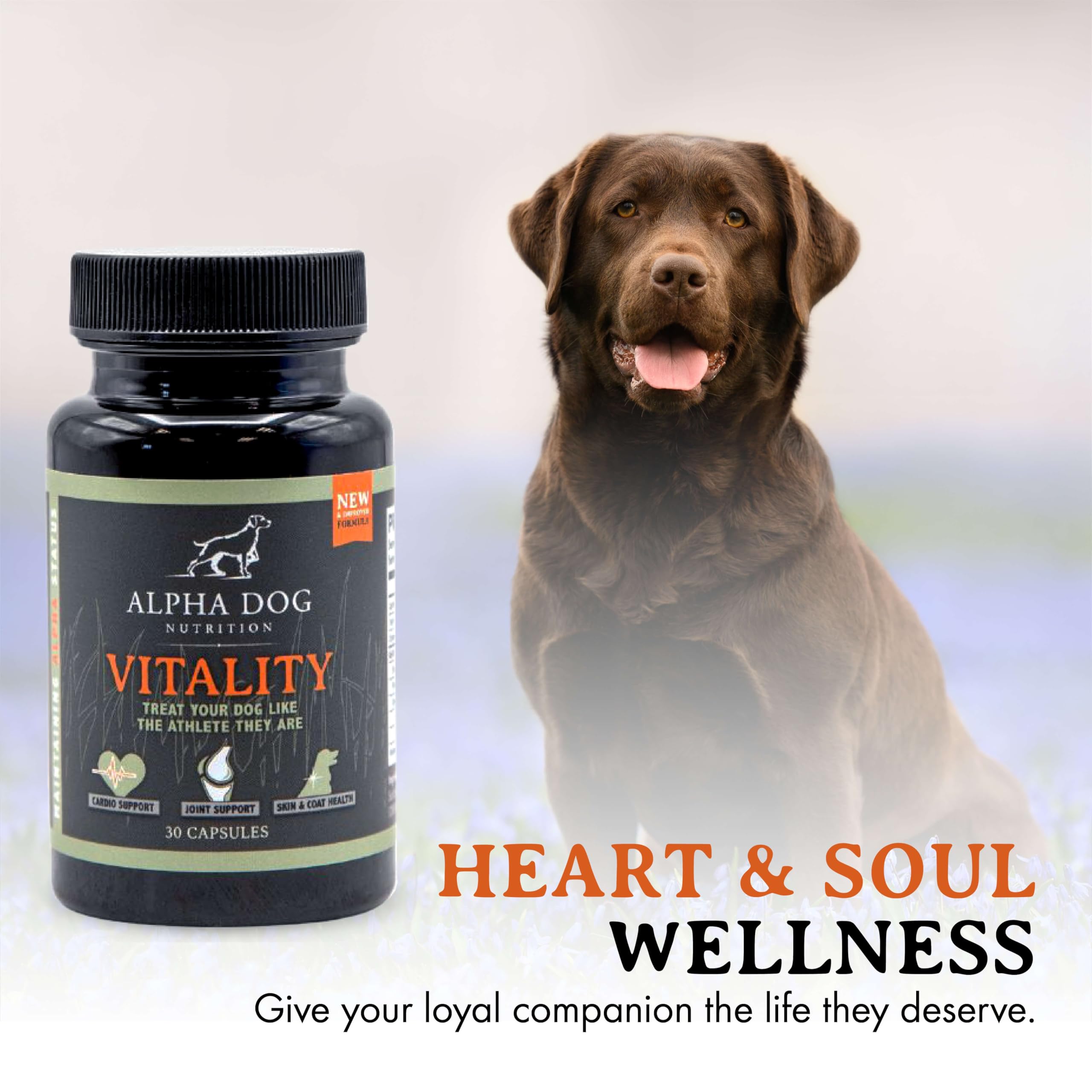 Reducción potencial de alergias en perros con krill Alpha Dog Nutrition.