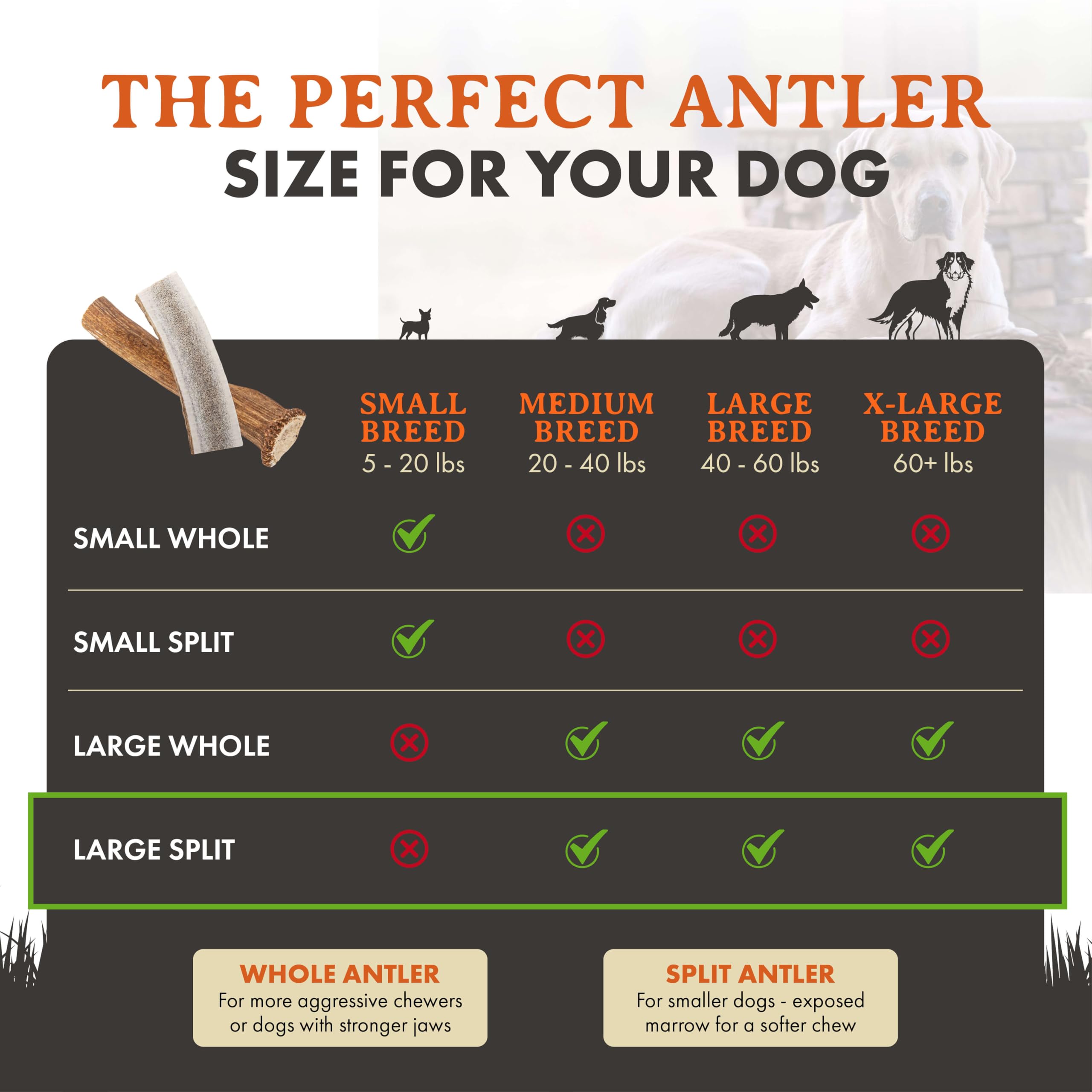 Asta de ciervo Alpha Dog Nutrition ideal para estimular la rutina diaria de masticación.