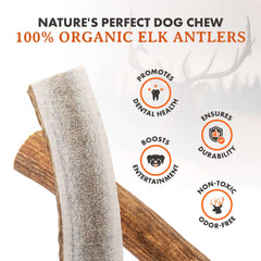 Textura natural de la asta de ciervo Alpha Dog Nutrition para masticación prolongada.