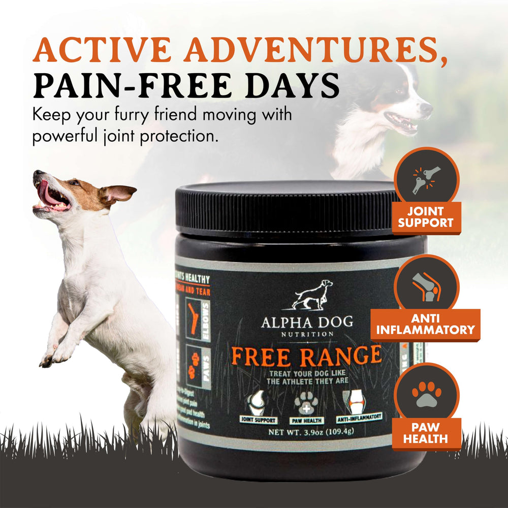 Alpha Dog Nutrition condroitina para articulaciones que apoya la comodidad.
