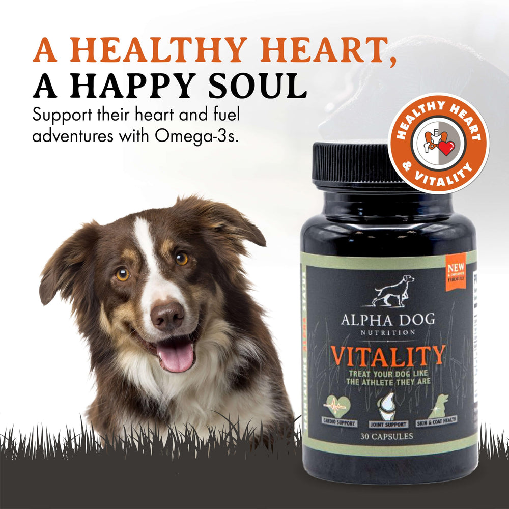 Alpha Dog Nutrition: gel suave de krill para perros, fácil de administrar.