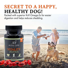 Perro con pelaje brillante gracias al aceite de krill Alpha Dog Nutrition.