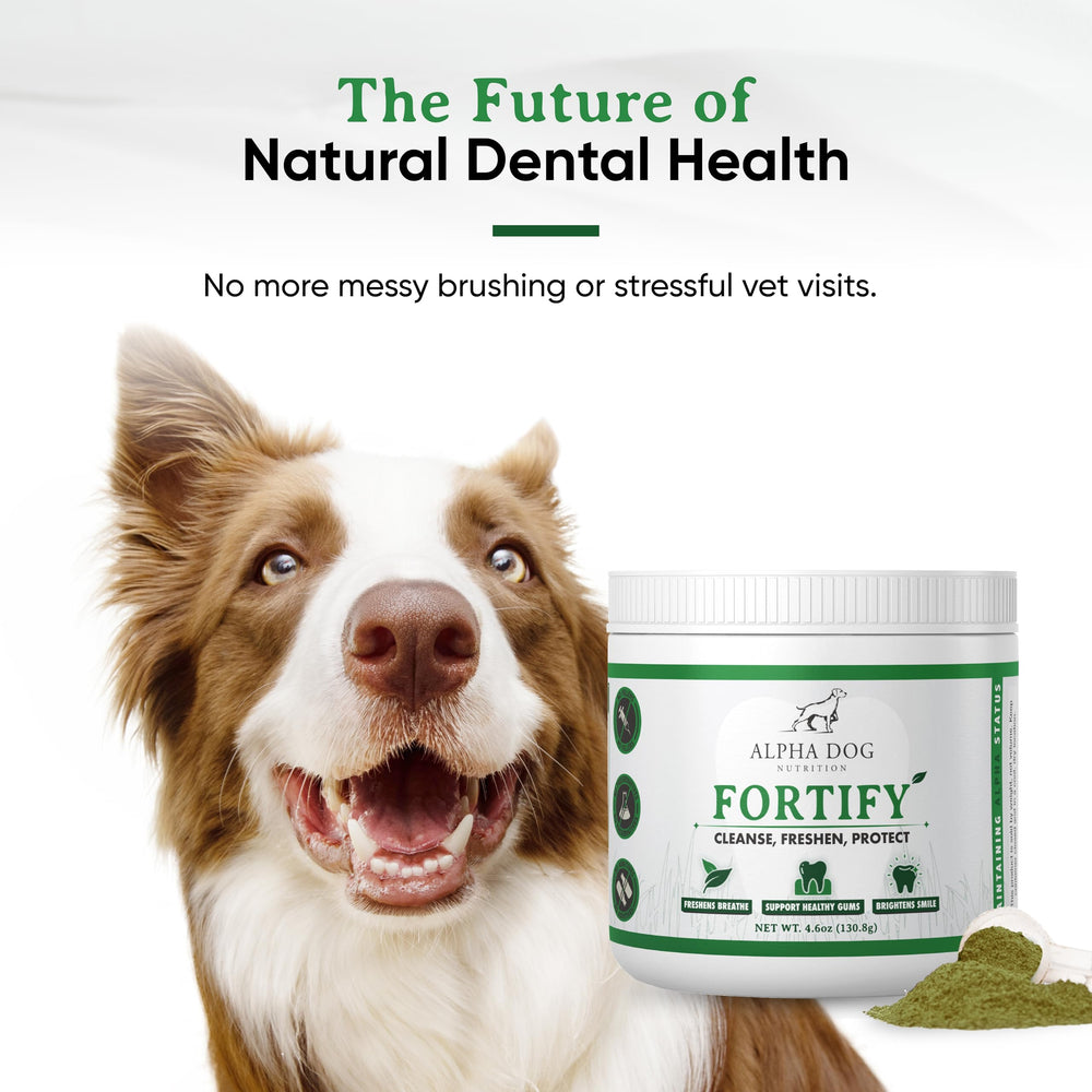Alpha Dog Nutrition Polvo dental para perros, uso diario recomendado.