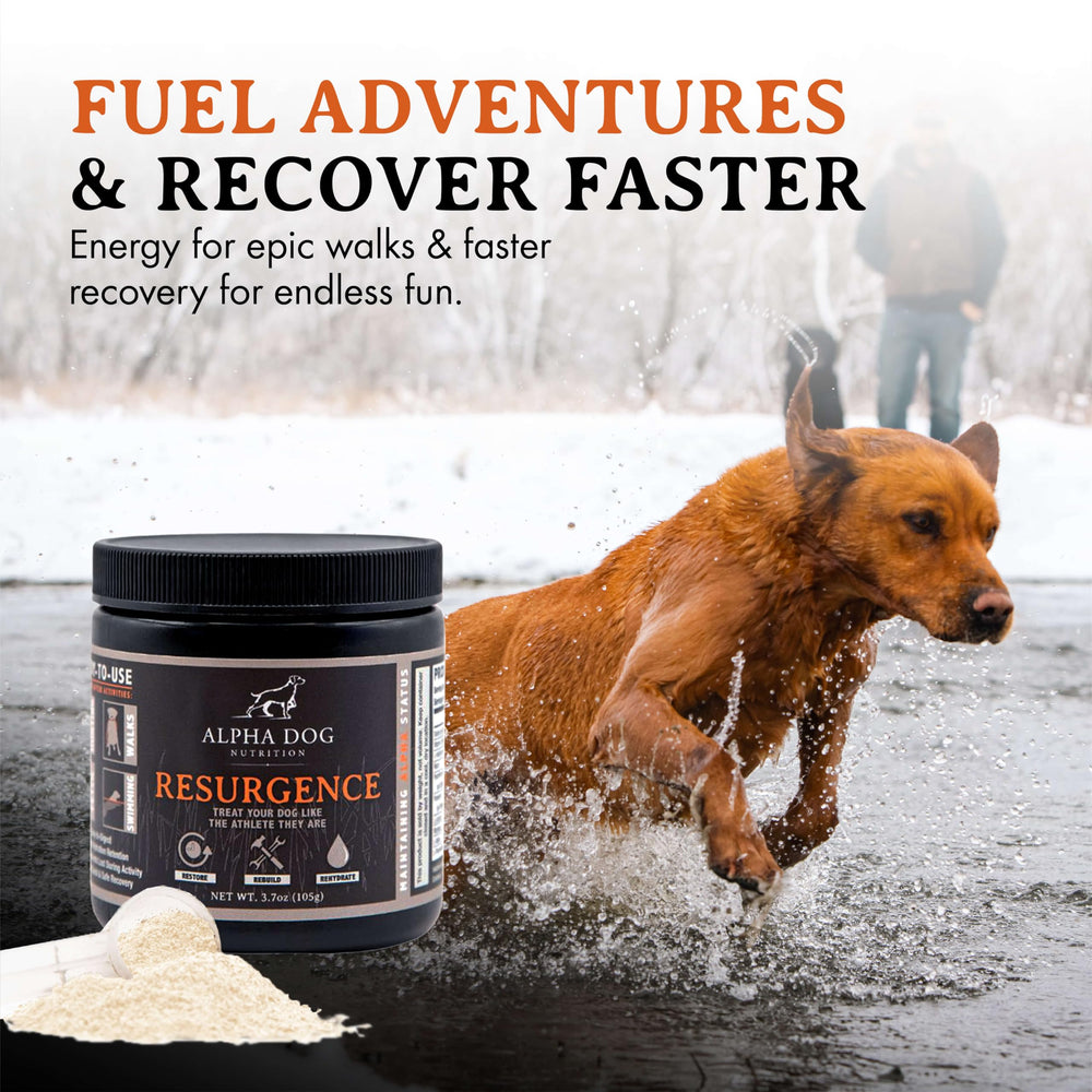 Alpha Dog Nutrition Resurgence: cucharita medidora para dosificar con precisión.
