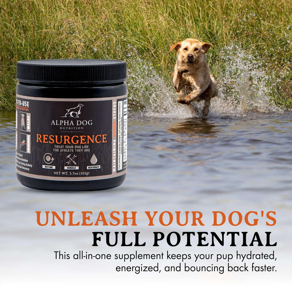 Alpha Dog Nutrition Resurgence: suplemento práctico para entrenamiento y recuperación.