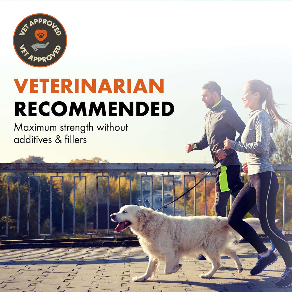 Alpha Dog OptiPup composición con 31 superfoods para nutrición temprana.