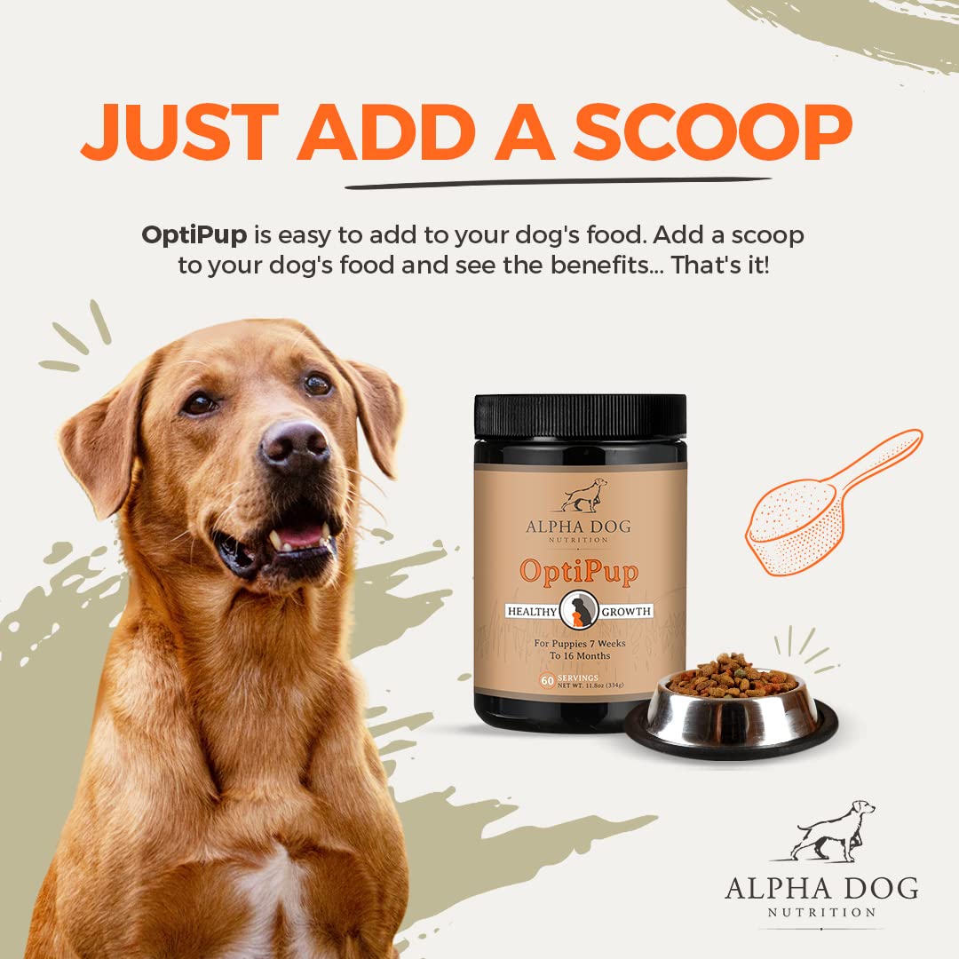 Alpha Dog OptiPup cuchara medidora: dosis fácil para cada comida.