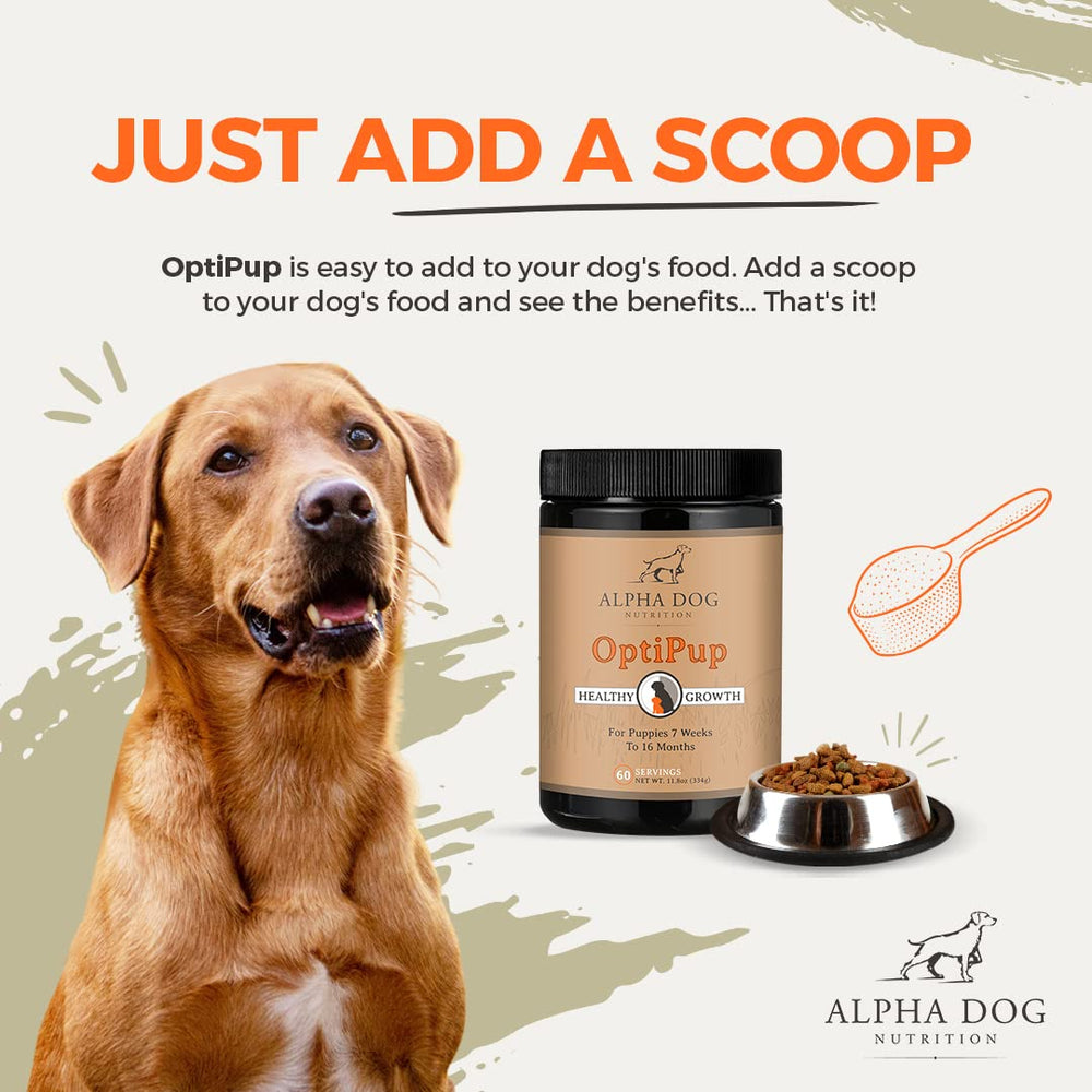 Alpha Dog OptiPup cuchara medidora: dosis fácil para cada comida.