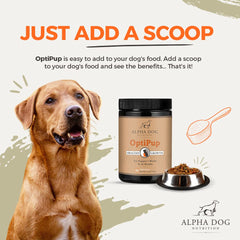 Alpha Dog OptiPup cuchara medidora: dosis fácil para cada comida.