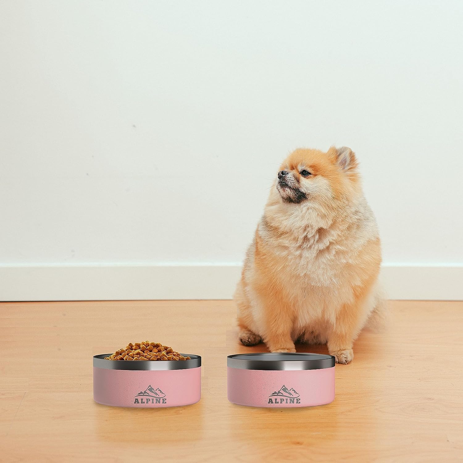 ALPINE diseño duradero y resistente a óxido para perros y gatos