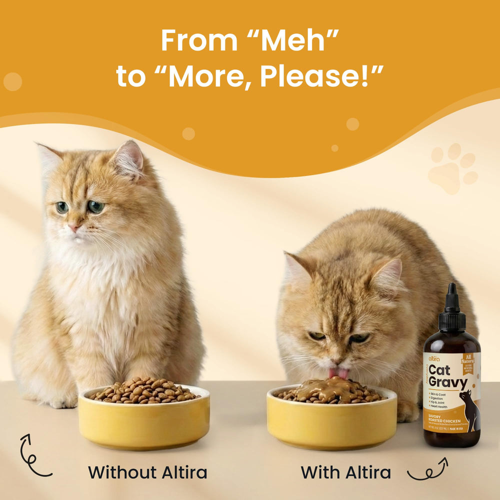 Olor aromático de Altira que atrae a gatos.