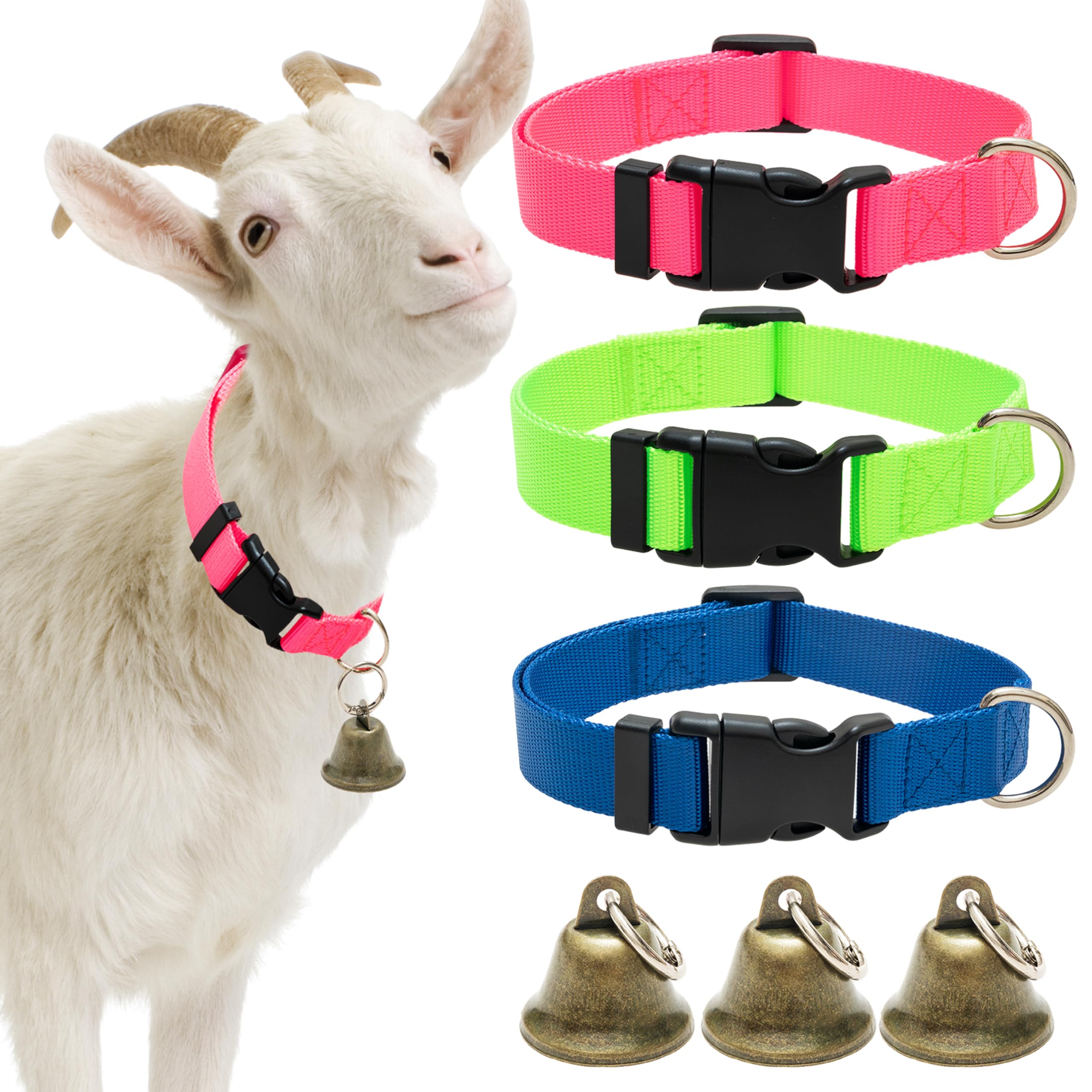 Collar ALUZAEMO para cabra con cascabel azul facilita la localización durante el pastoreo.