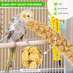 ALWZ-RDY mijo en empaque hermético, frescura garantizada para mascotas