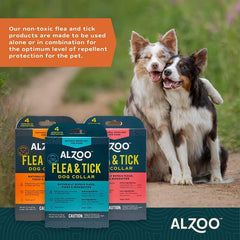 Empaque del collar ALZOO, opción ecológica y segura para mascotas.