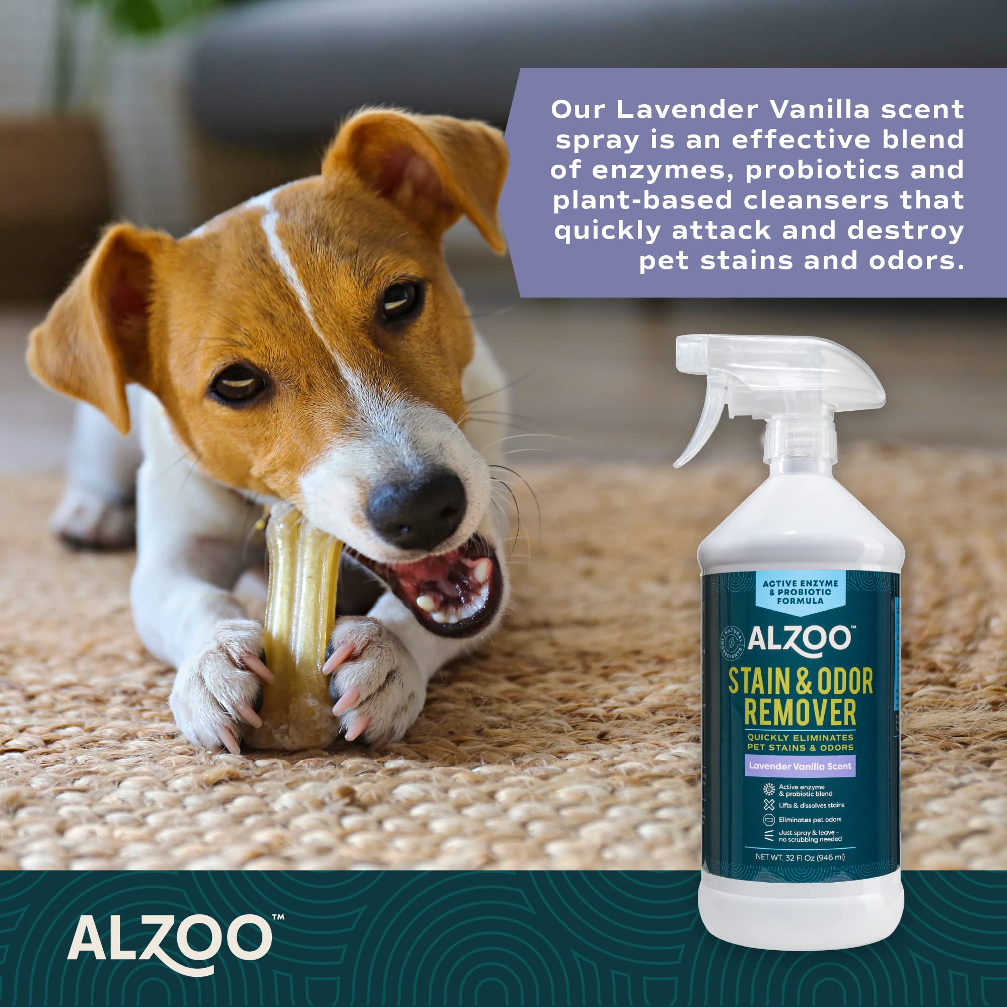 ALZOO Stain & Odor Remover, envase reciclable para un hogar sostenible.