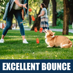 Bolas AMA SPORT para entrenamiento canino en césped, color naranja.