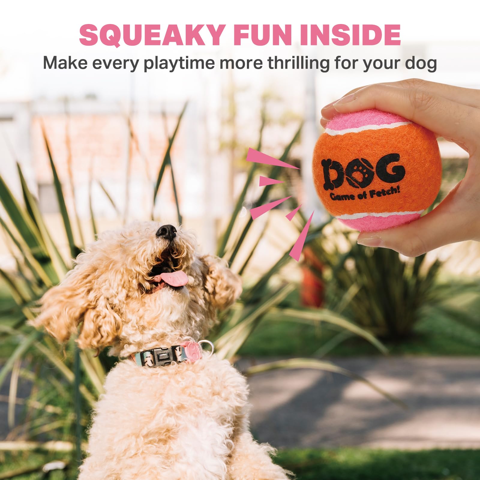 AMA SPORT pelota chirriante para perros ideal para juegos de búsqueda