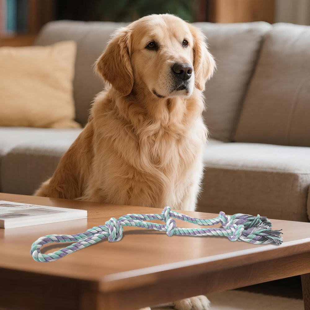 AmaCielo Ideal para uso interior o exterior, acompaña el crecimiento de tu perro.