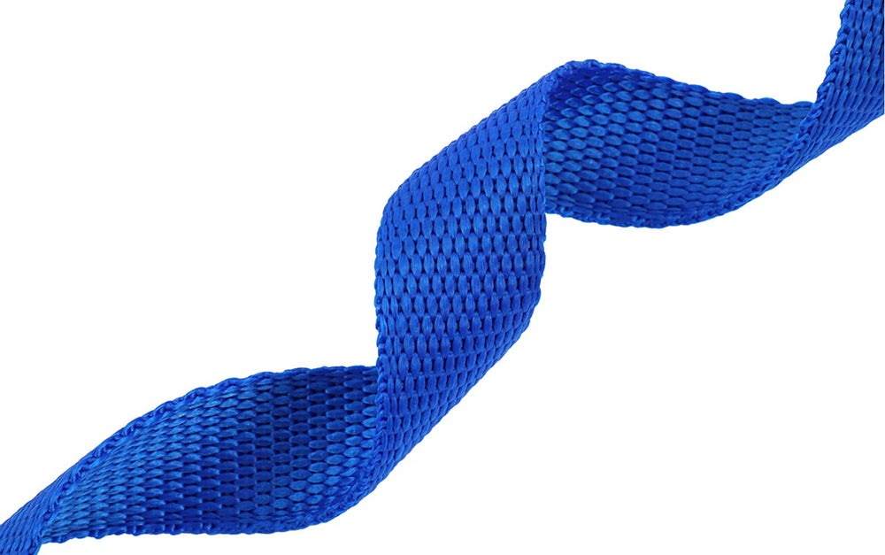 AmaGood cuerda para camping y aventuras de perro, 20 pies, color azul.