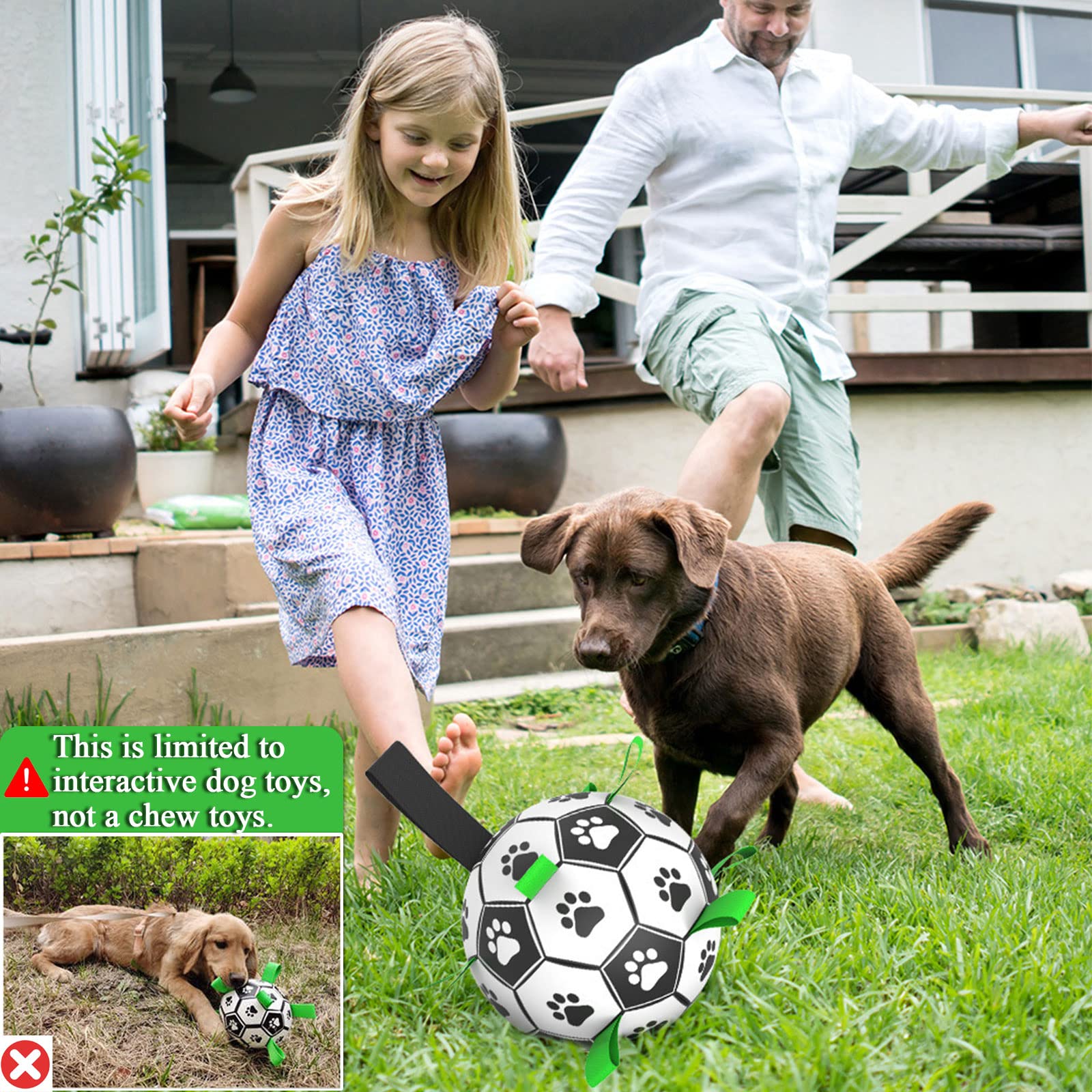 Juguete de entrenamiento Amasiver para perros, fomenta ejercicio y enfoque.