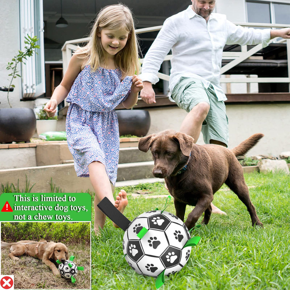 Juguete de entrenamiento Amasiver para perros, fomenta ejercicio y enfoque.