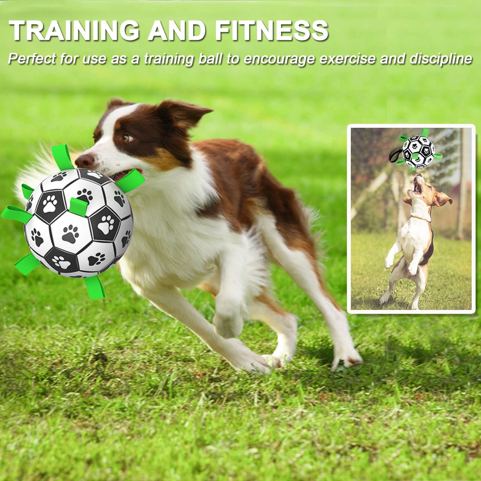 Juguete de Amasiver para perros interactivo con nylon, 6 pulgadas.