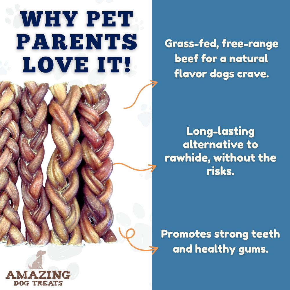 Amazing Dog Treats bully-stick trenzado en uso diario para juego y recompensa.