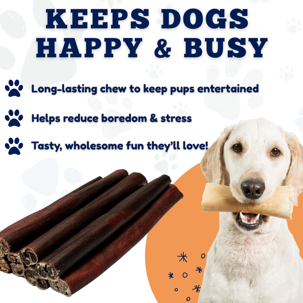 Amazing Dog Treats empaque práctico para 50 unidades.