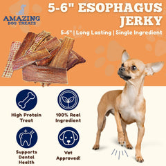 Amazing Dog Treats esófago de res, detalle textura, masticable y duradero para perros.