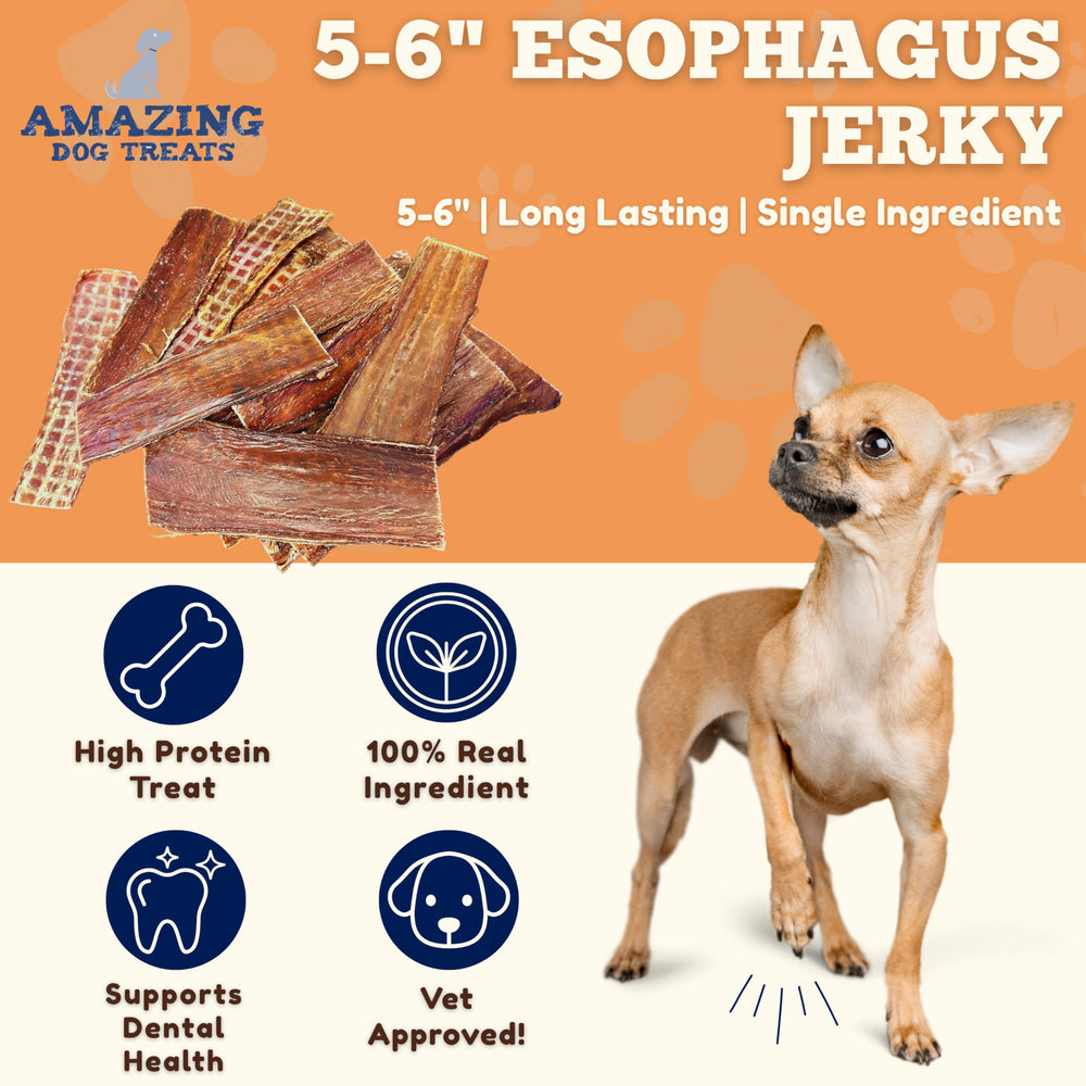 Amazing Dog Treats masticables en pack de 25 para perros activos y felices.