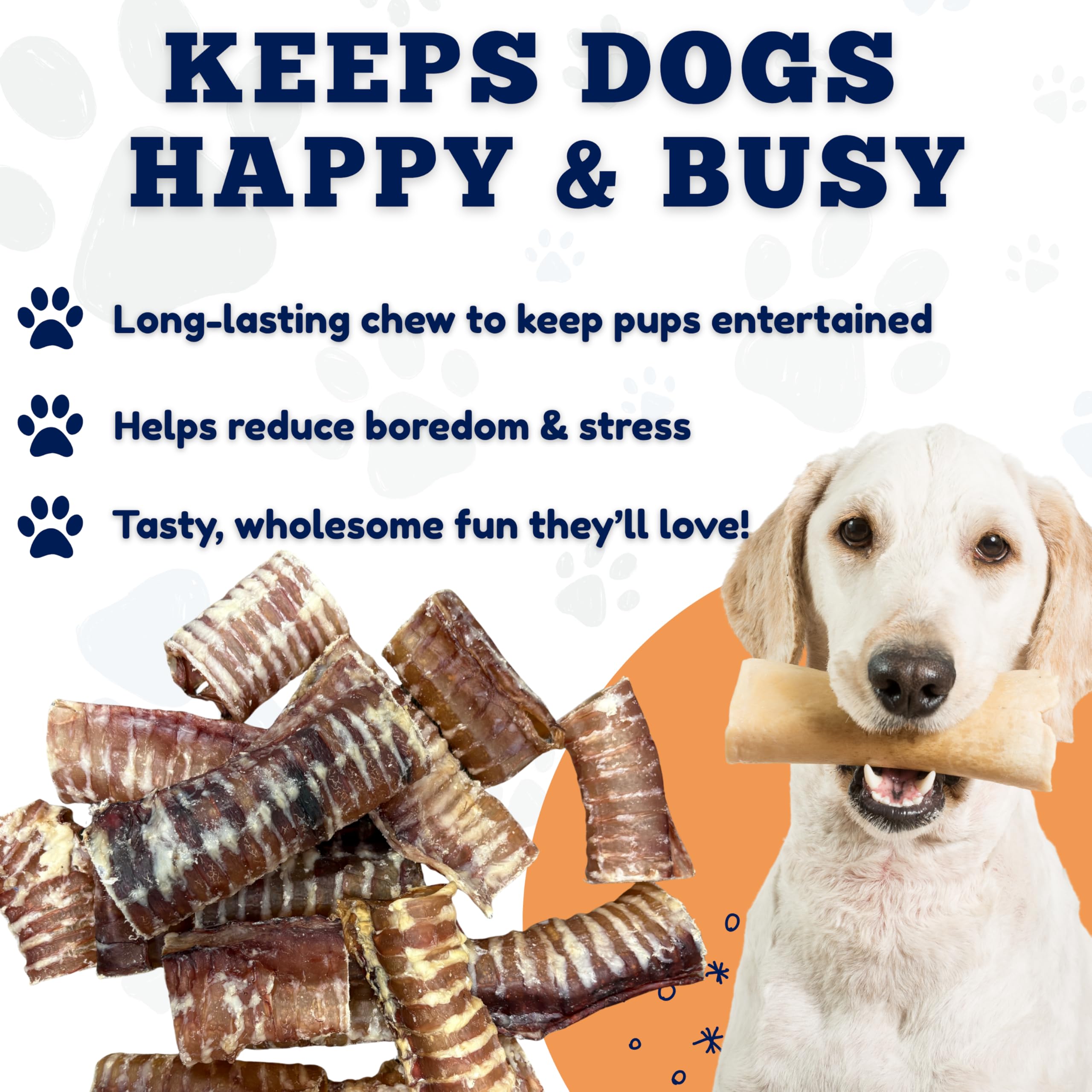Amazing Dog Treats: ideal para perros pequeños y razas diferentes