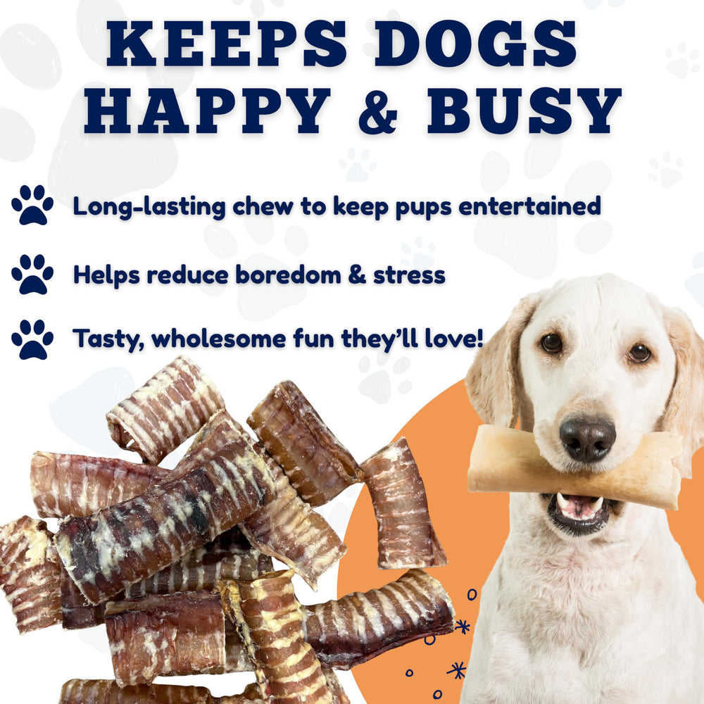 Amazing Dog Treats: ideal para perros pequeños y razas diferentes