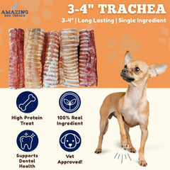 Amazing Dog Treats: ingrediente unico de trachea de res sin aditivos