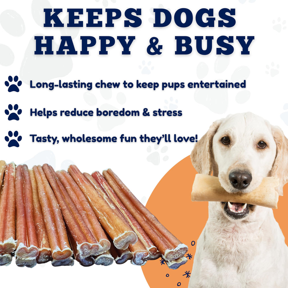 Amazing Dog Treats: premio diario seguro para cachorros