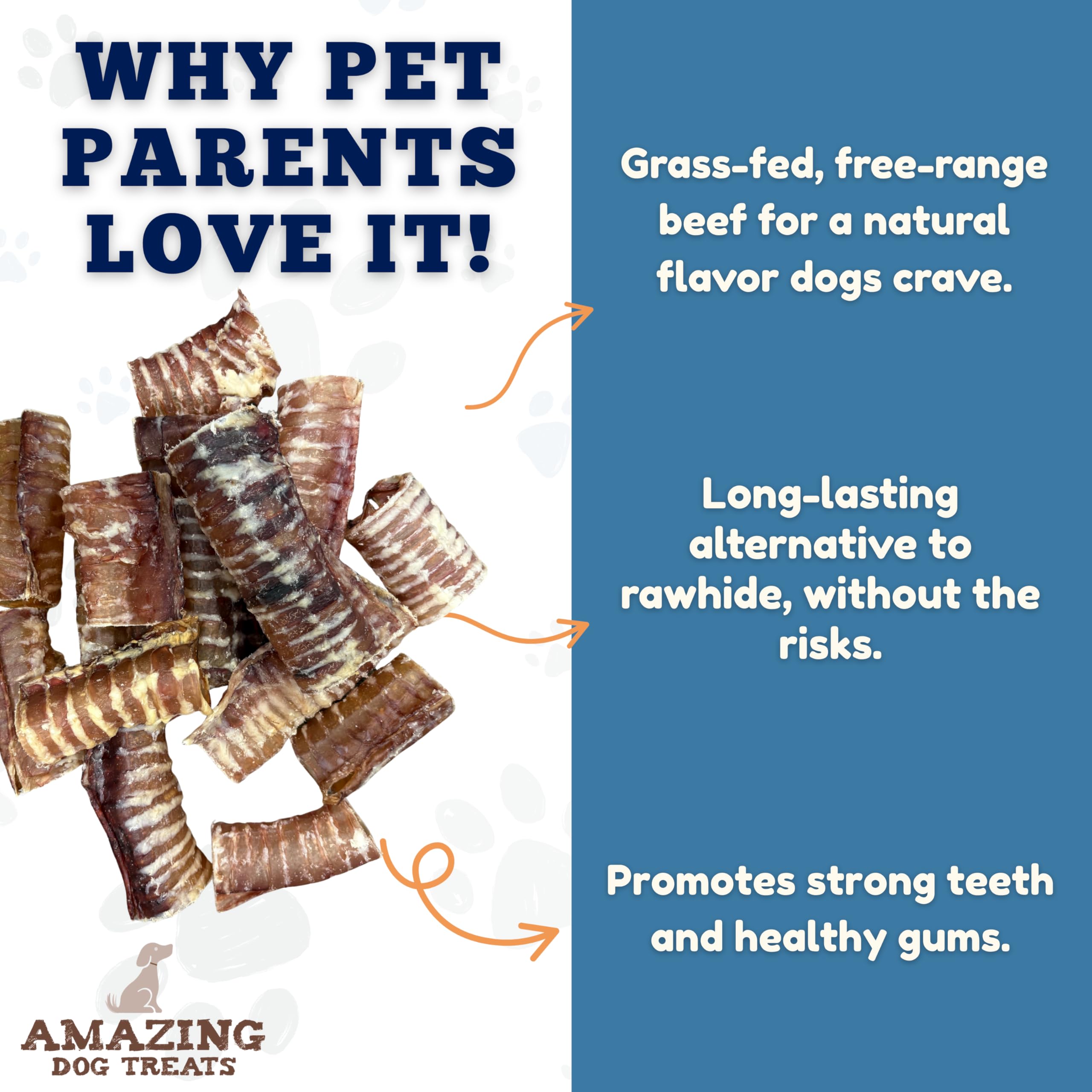 Amazing Dog Treats: premio para perros para reforzar buen comportamiento