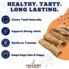 Amazing Dog Treats sin químicos ni aditivos, tráquea de res como opción natural de masticación.