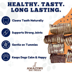 Amazing Dog Treats: sin quimicos y sin aditivos para una merienda natural