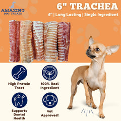 Amazing Dog Treats tráquea de res, textura natural sin aditivos para premiar.