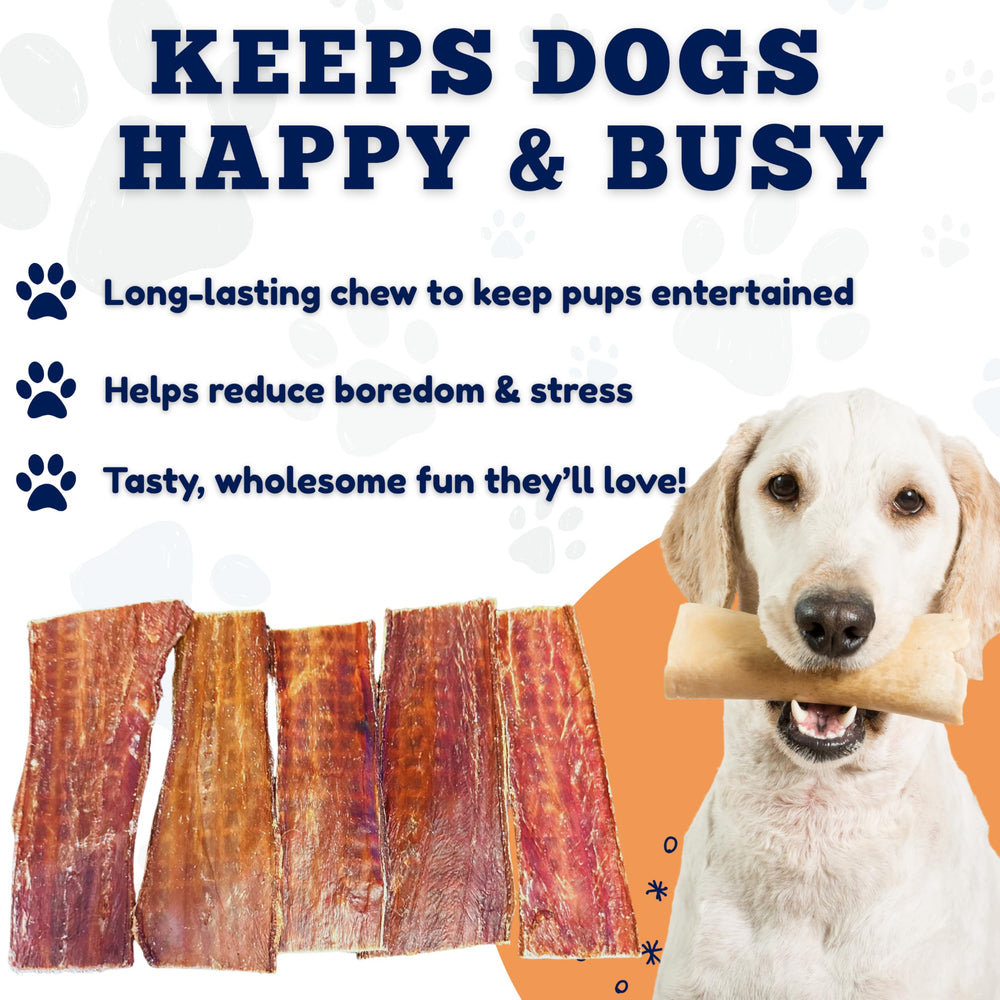 Amazing Dog Treats ideal para juego y entrenamiento al aire libre.