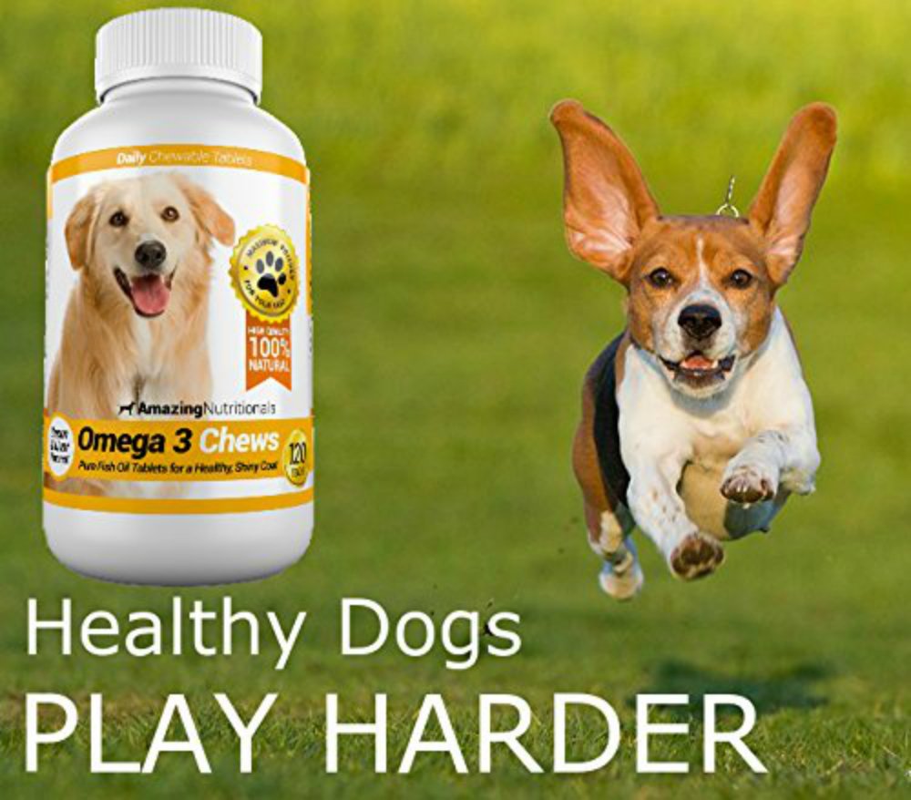 Omega 3 de Amazing Nutritionals para perros, pelo brillante y piel sana.