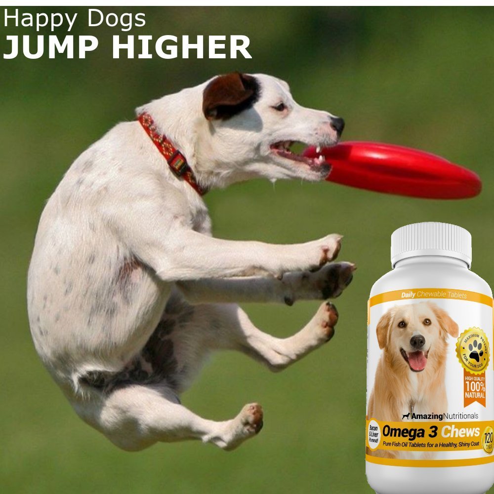 Omega 3 de Amazing Nutritionals para perros, sabor salmón y pelaje saludable.