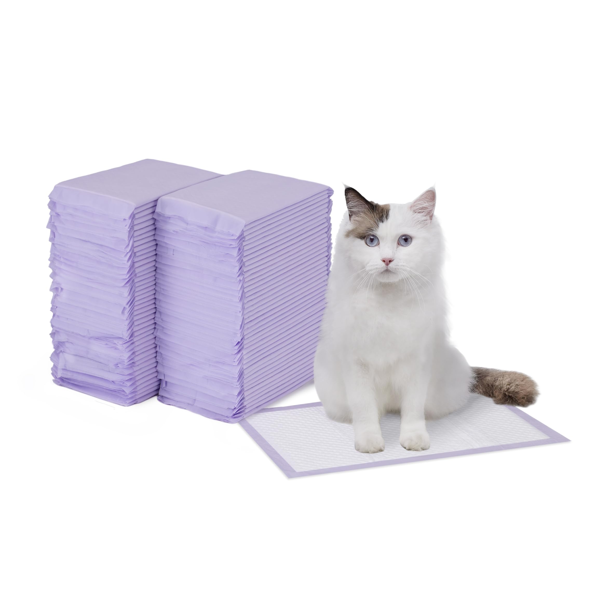 Almohadillas para arenero de Amazon Basics con aroma a limón para mayor frescura.
