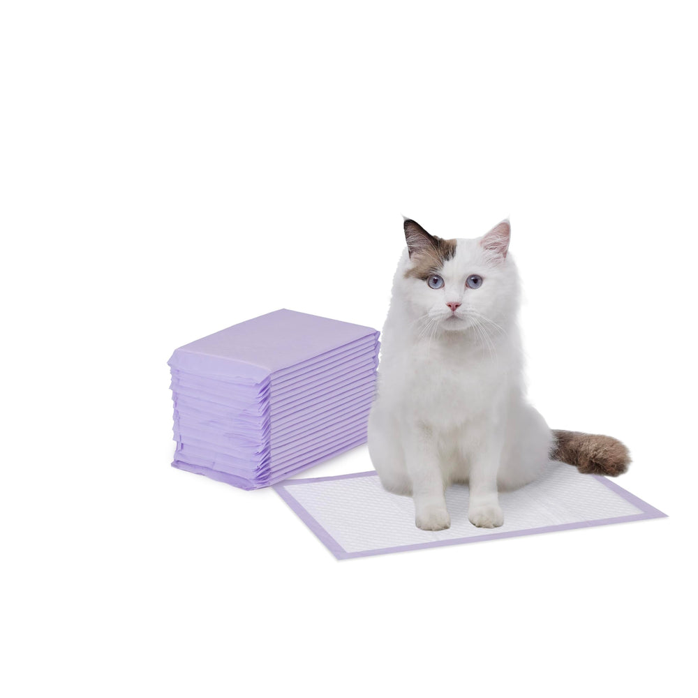 Almohadillas para caja de arena Amazon Basics, aroma a limón, desechables y absorbentes.
