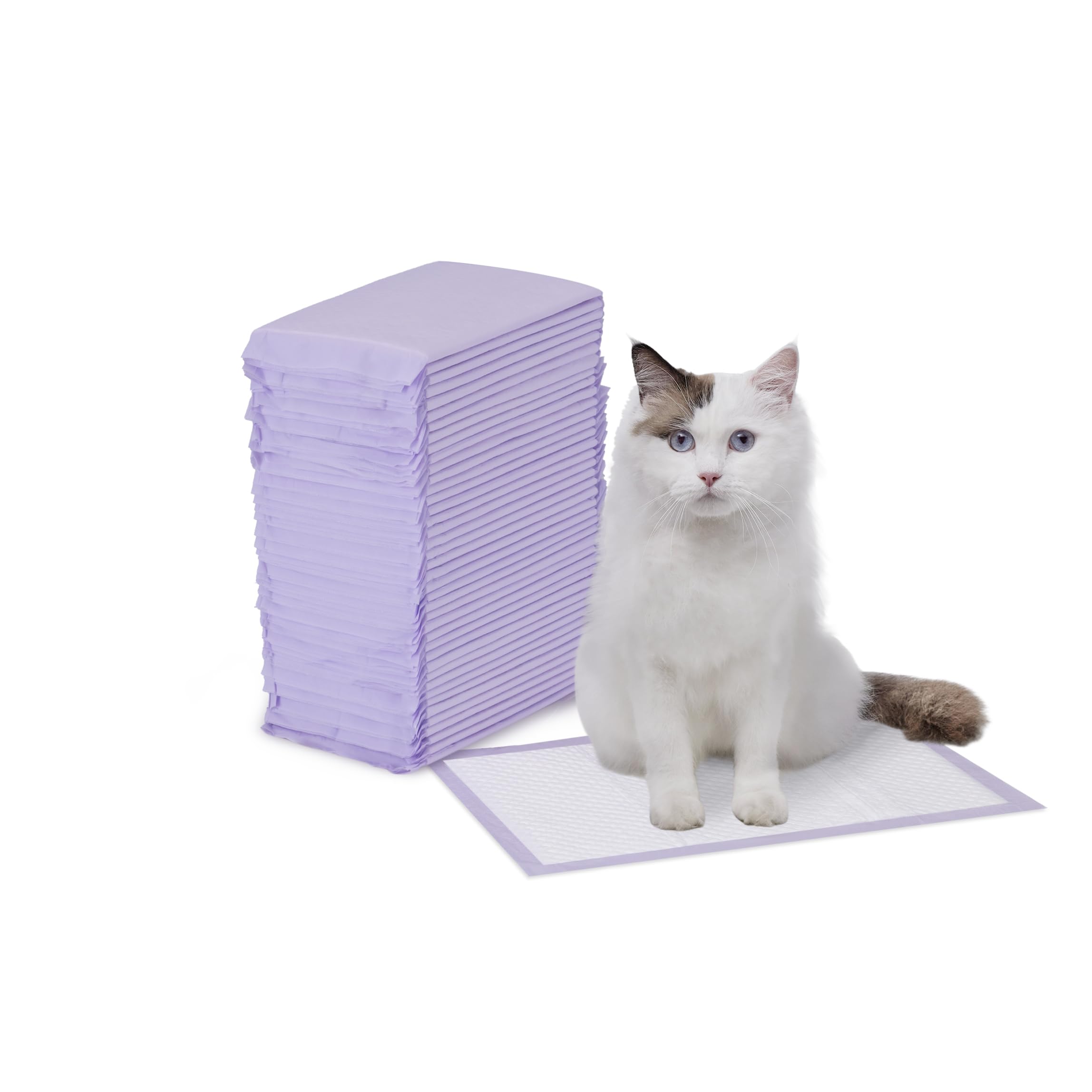 Amazon Basics almohadillas para gato con absorción superior para caja de arena.