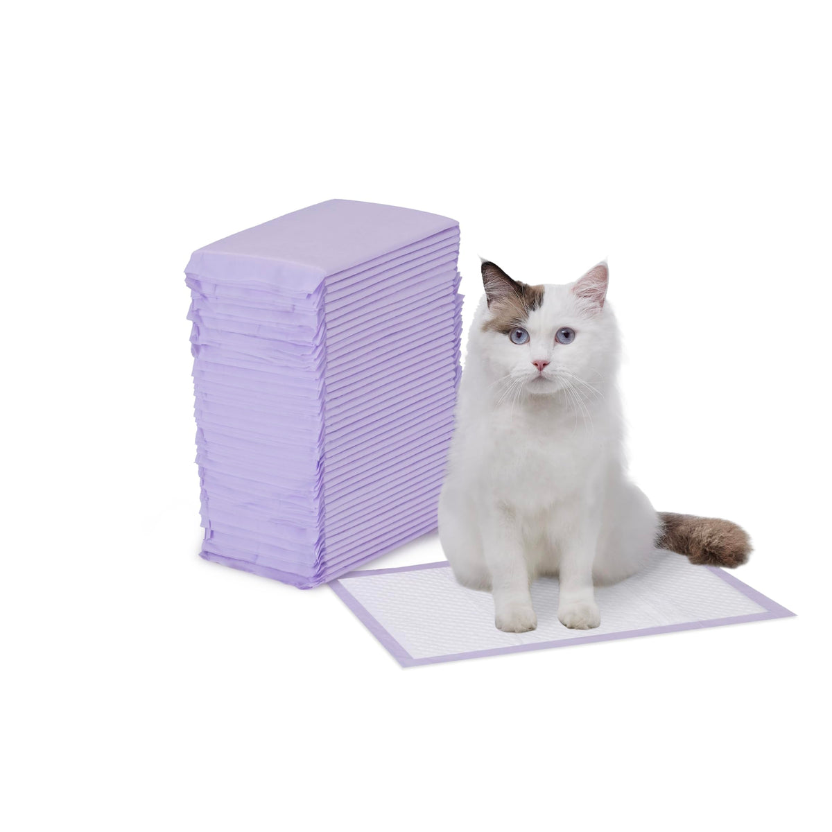 Amazon Basics almohadillas para gato con absorción superior para caja de arena.
