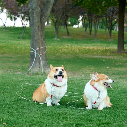 Cable de amarre blanco para exteriores, ideal para perros de 25 pies.