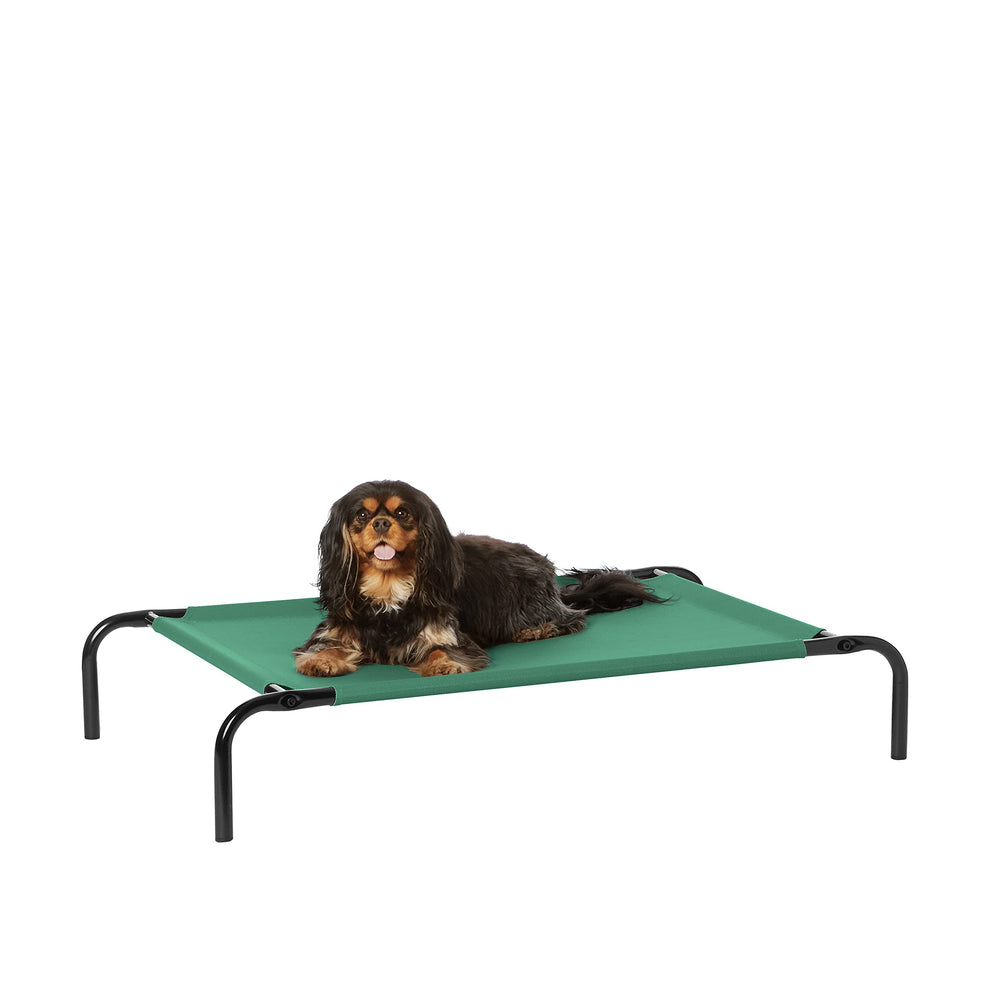 Cama elevada Amazon Basics para perros pequeños en verde, descanso cómodo.